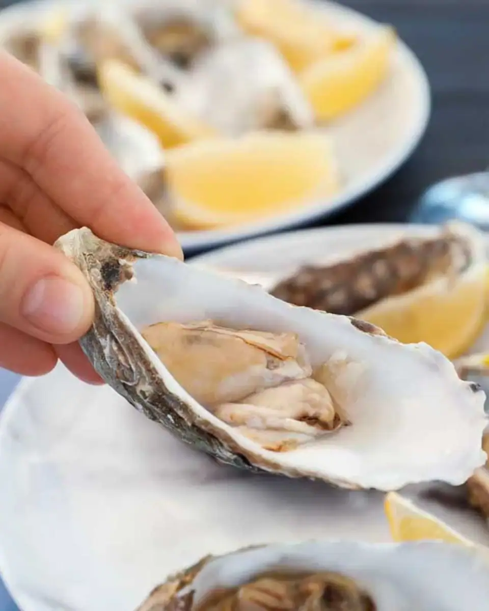 Eating-oysters on Waiheke Island, New Zealand