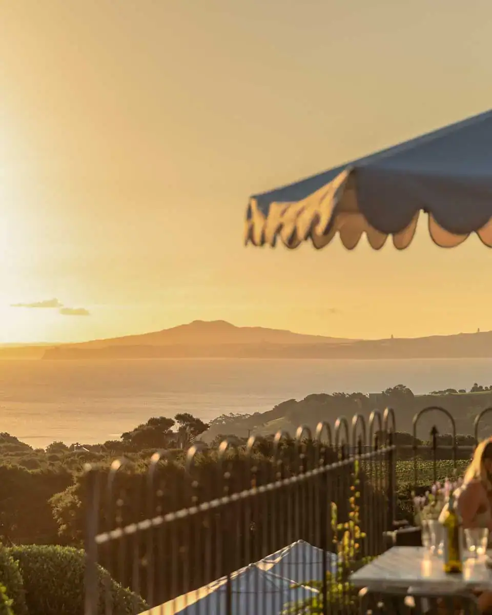 Mudbrick Vineyard and Restaurant on Waiheke Island, New Zealand (1)