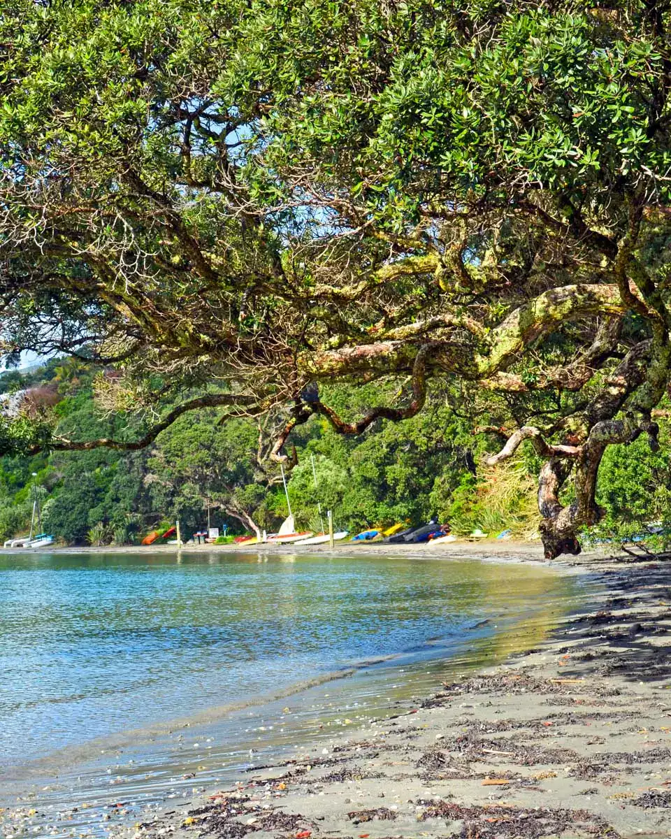 Oneroa Beach on Waiheke Island, New Zealand 2