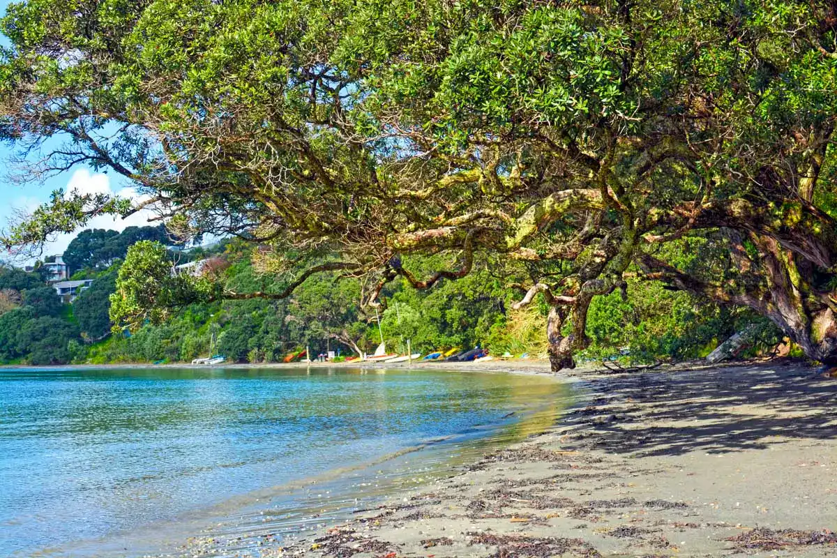 Oneroa Beach on Waiheke Island, New Zealand