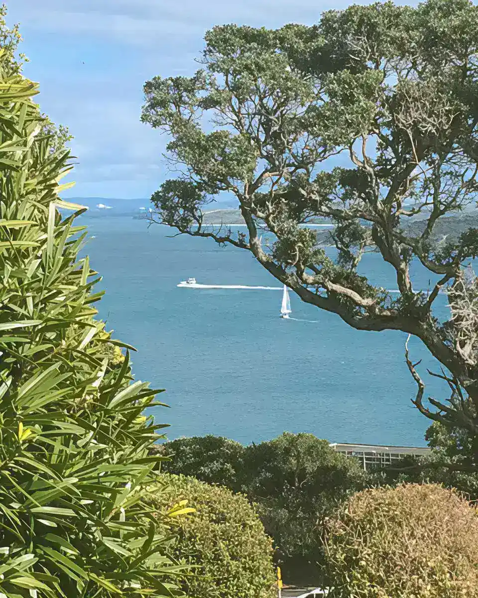 Waiheke Island Vineyard Holiday Houses in Surfdale Waiheke Island New Zealand 1